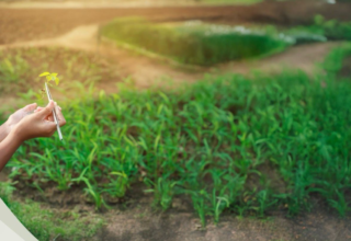 wp header logo1767776410757679005