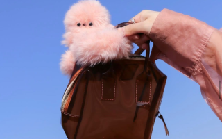 wp header logo1767790815366442507