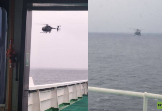 wp header logo17677944261178090768