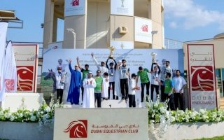 wp header logo17678088351906209238