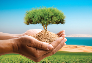 wp header logo1767816020697287509