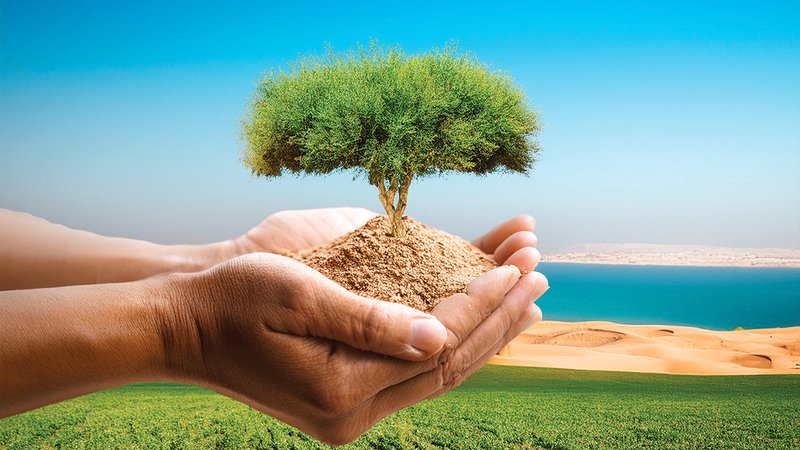 wp header logo1767816020697287509