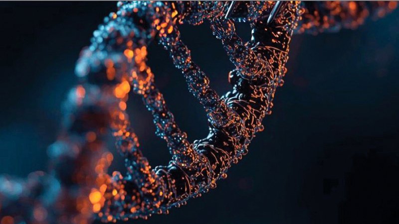 wp header logo17678232091849674921