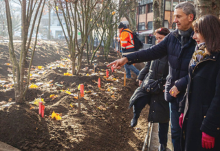 wp header logo17678340051502148100