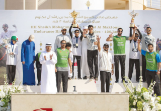 wp header logo17678340091501404597