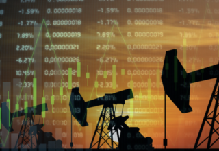 wp header logo1767855616741384348