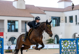 wp header logo1767859205781987632