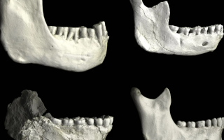 wp header logo17678664051490669310