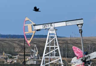 wp header logo17678880281240801917