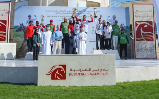 wp header logo1767891606324884657