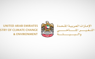 wp header logo17678988051510641048