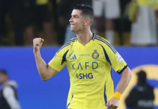 wp header logo17679060211122696885