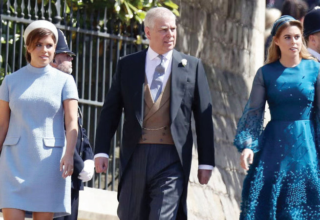 wp header logo1767920419318543767