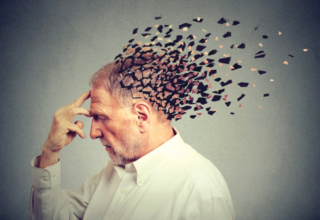 wp header logo1767934811945891976