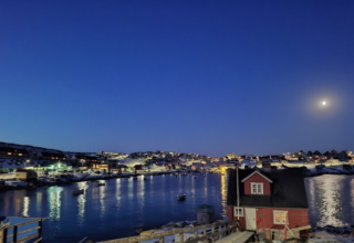 wp header logo17679348582132444536