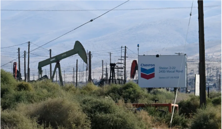 wp header logo1767938408395732039