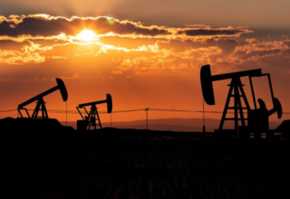 wp header logo1767956408236997947