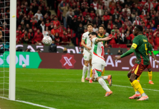 wp header logo17679924091850464895