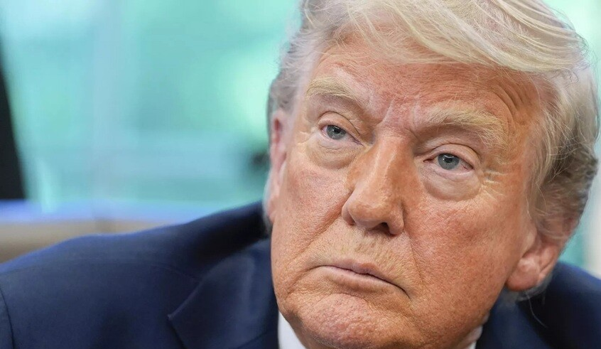 wp header logo17680032082084715081