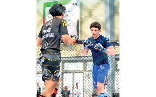 wp header logo1768006805986958955