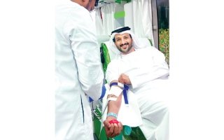 wp header logo17680068081865072985