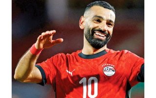 wp header logo17680068171778627762