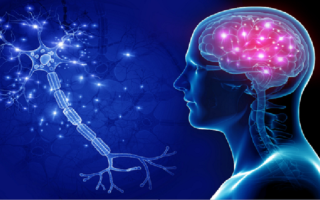 wp header logo1768017608535320260