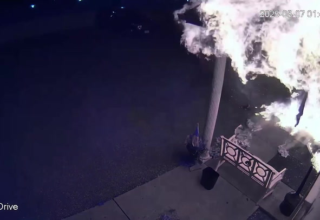 wp header logo17680176101735558208