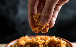 wp header logo17680248051378535432