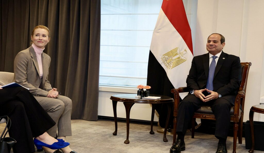 wp header logo1768050008930537383