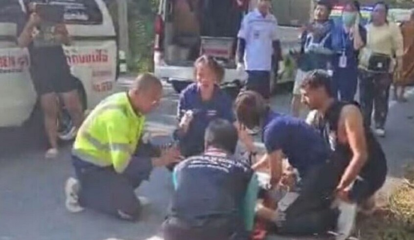 wp header logo1768057235455192424