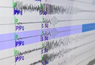 wp header logo17680608281990675687