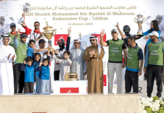 wp header logo17680824301296499844