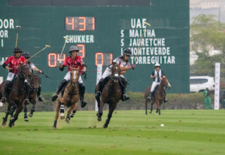 wp header logo17681400041100945271