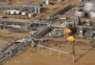 wp header logo17681544191754324245