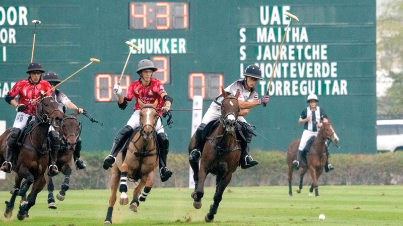 wp header logo17681796141827353740