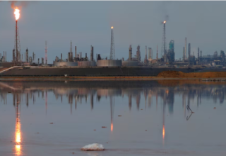 wp header logo1768190408157726383