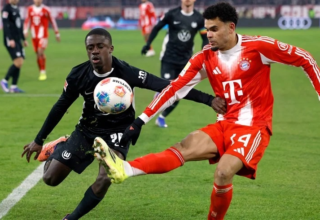 wp header logo1768197610773847923