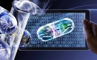 wp header logo17682048061867751530