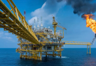 wp header logo1768226421739313648