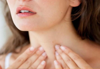 wp header logo17682300051272701792