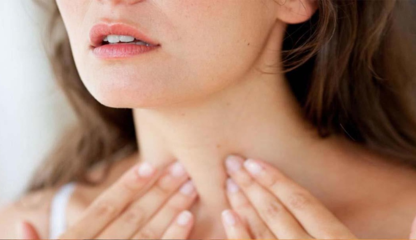 wp header logo17682300051272701792