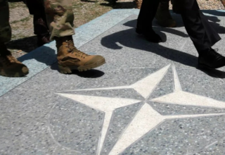 wp header logo17682336291544191330