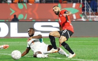 wp header logo1768266008714150434