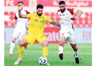 wp header logo17682660211993826943