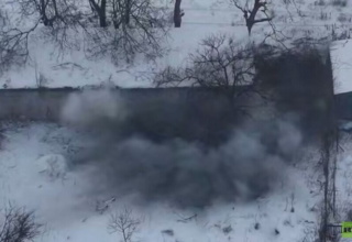 wp header logo1768280418941040084