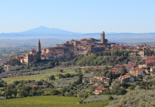 wp header logo1768284007726668801