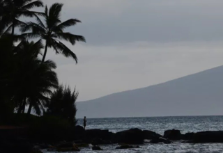 wp header logo1768284027906847629