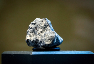 wp header logo17682912081306003775