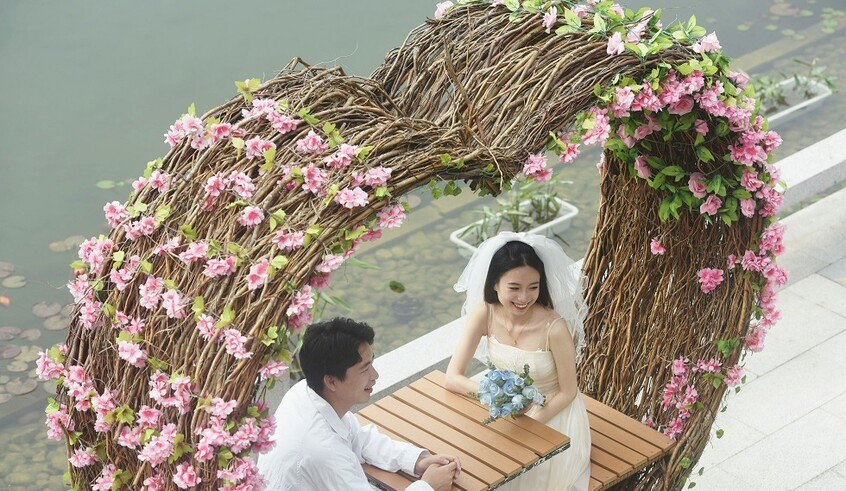 wp header logo1768294808617640348